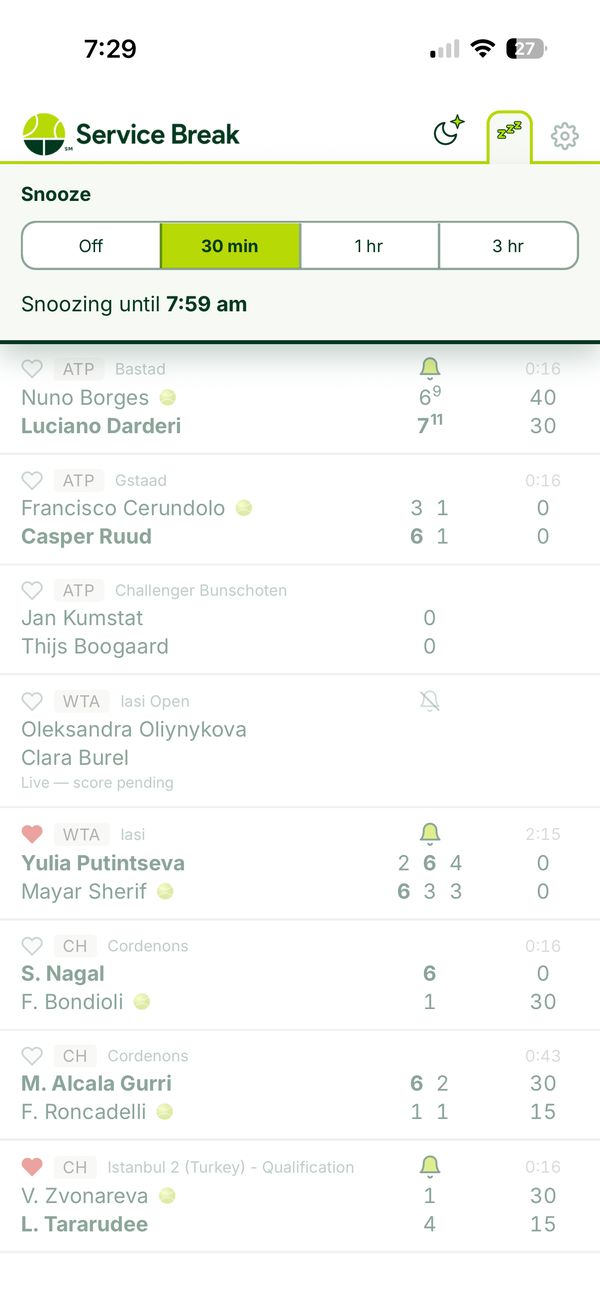 Temporarily suspend all alerts — Service Break iPhone screenshot